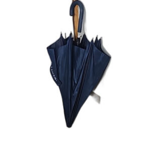 Navy Blue Umbrella
